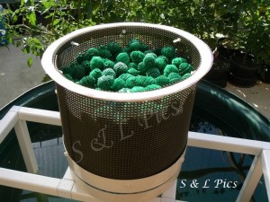 Bio balls placed inside home made container